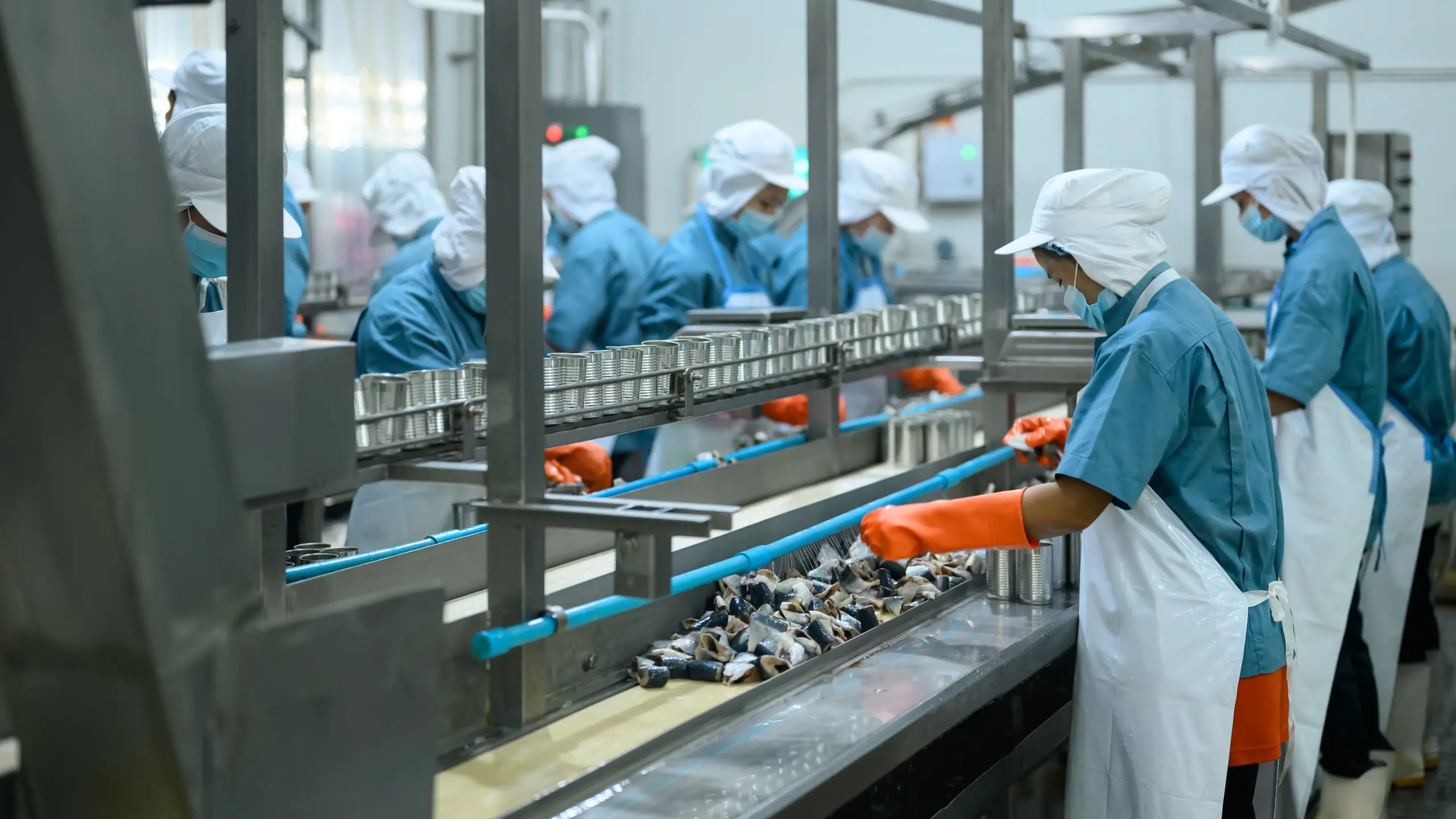 Chiến Lược Phát Triển Sản Xuất Gia Công Thực Phẩm