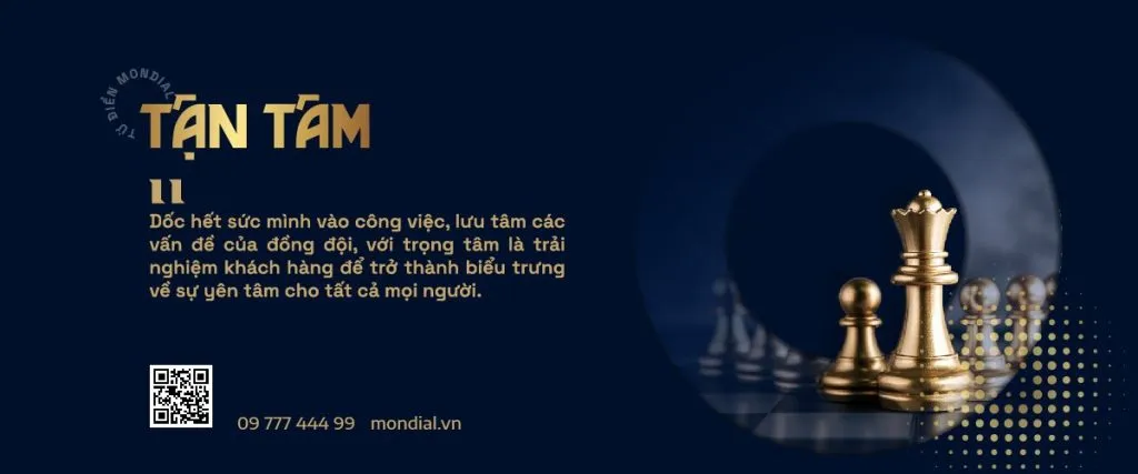 thiết kế tận tâm