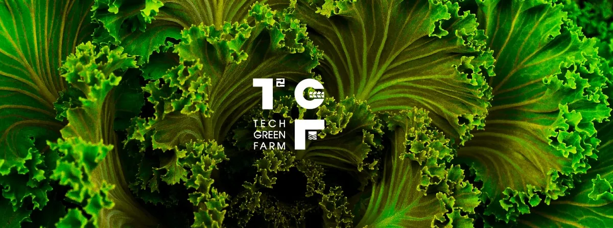 Tư vấn định vị thương hiệu Techgreen Farm