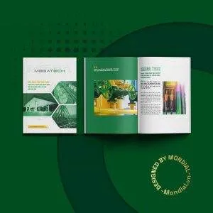 thiết kế hồ sơ năng lực công ty