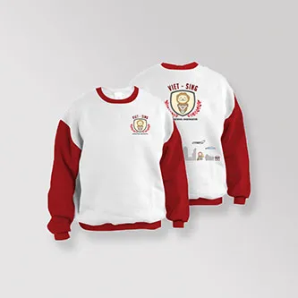 Thiết kế nhận diện thương hiệu Trường mầm non song ngữ quốc tế Việt Nam – Singapore