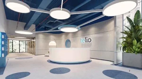 Case Study Telio