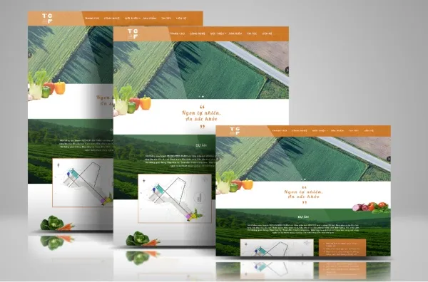 thiết kế website