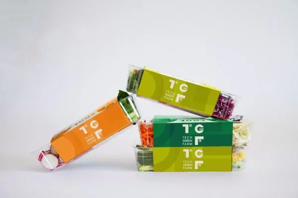 Sales Plan, Forecast, Target - thiết kế bao bì