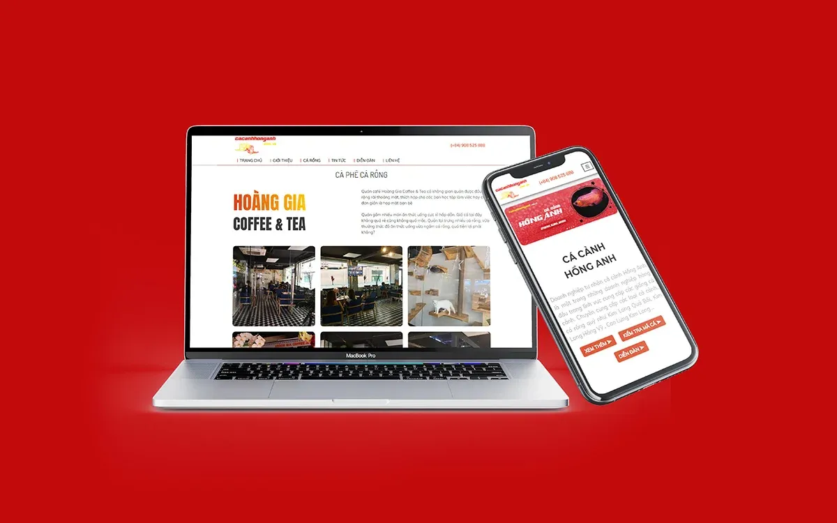 website cá cảnh hồng anh